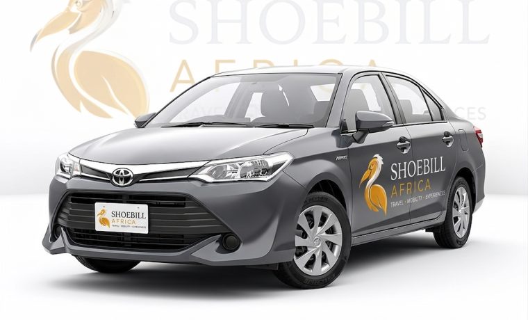 Toyota Axio
