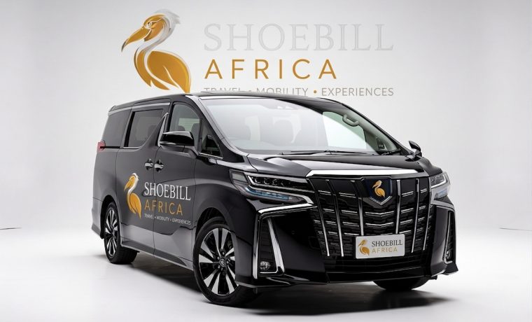 Toyota Noah/Voxy